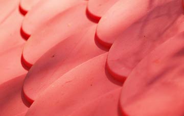 Boughton plastic roof costs