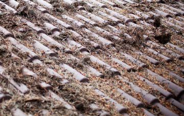 Boughton roof cleaning companies